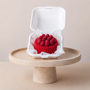 Bento red velvet