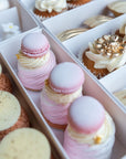 Assortiment meringues et choux Batida avec macaron à la framboise et chocolat blanc, gros plan